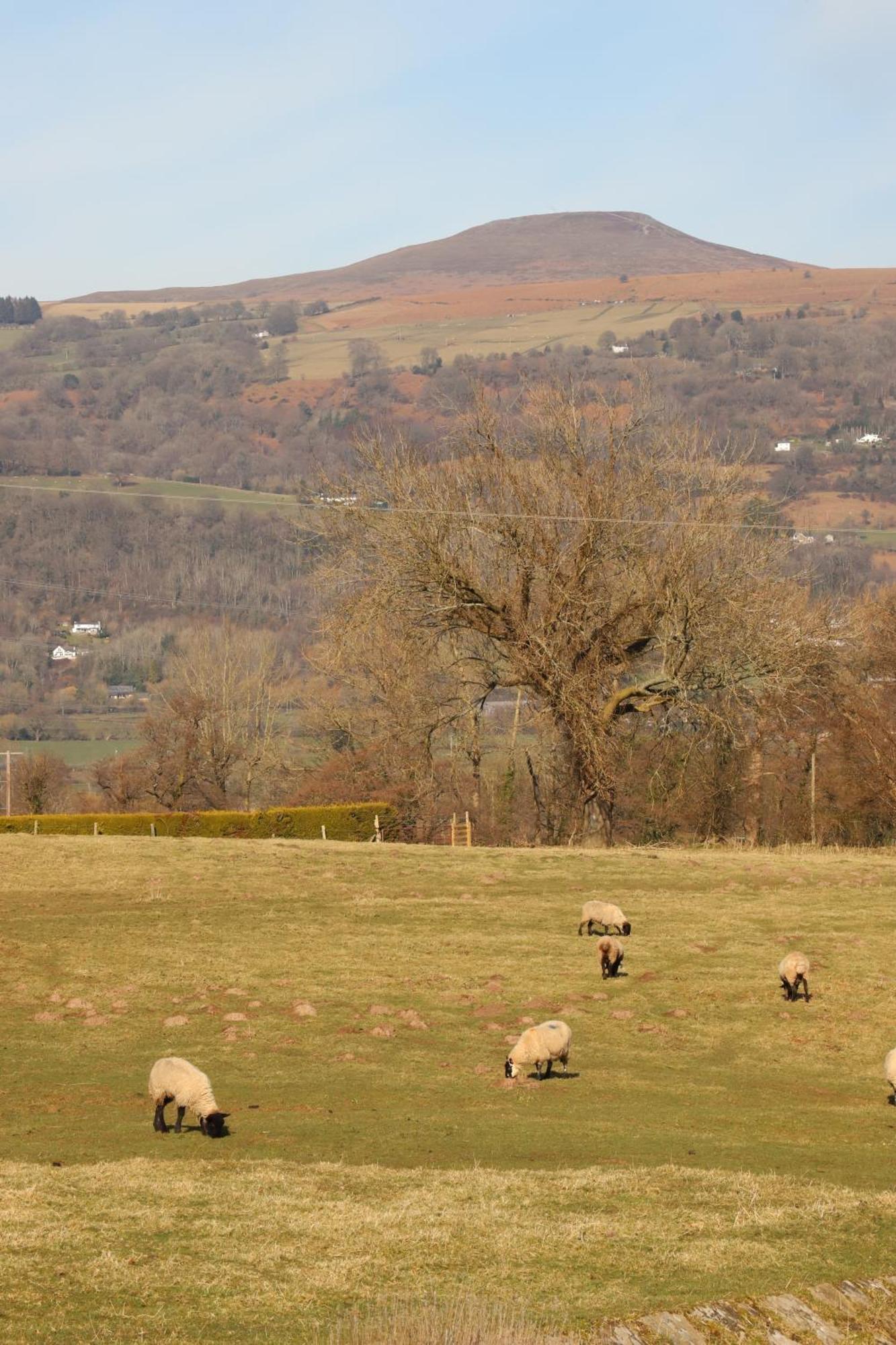 Cowshed In The Black Mountains Abergavenny Exteriör bild
